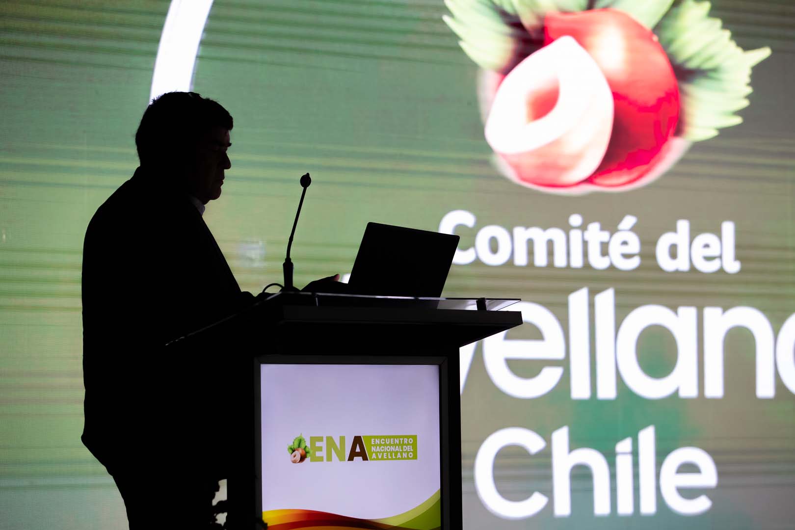 slide 8